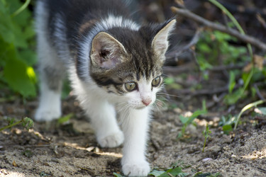 Similar image 669147