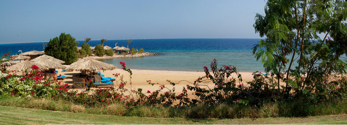 Similar image 669148