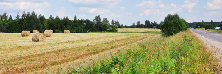 Similar image 669150