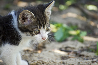 Similar image 669156