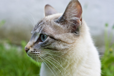 Similar image 669183