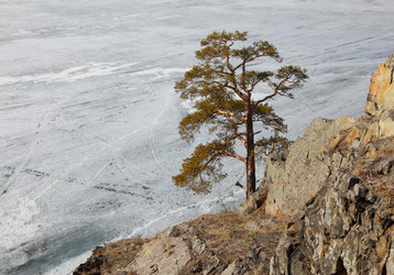 Similar image 669193