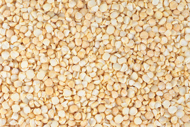 Similar image 669196