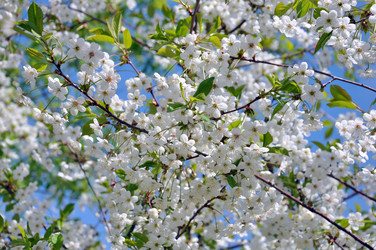 Similar image 669205