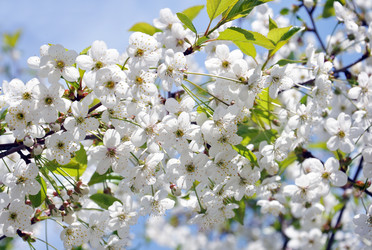 Similar image 669209