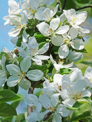 Similar image 669210