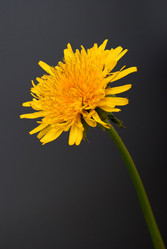 Similar image 669211