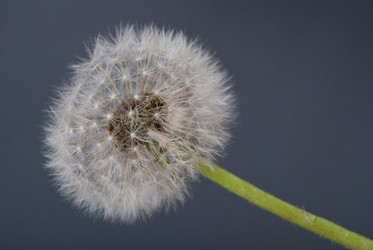 Similar image 669213