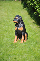 Similar image 669246