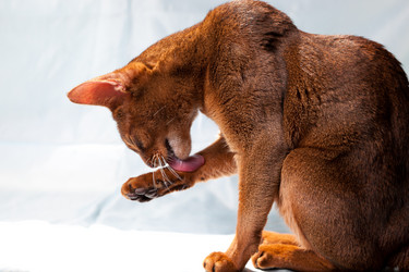 Similar image 669253