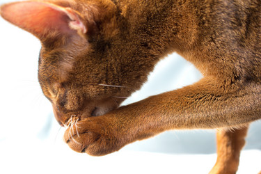 Similar image 669254