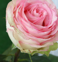 Similar image 669255