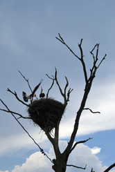 Similar image 669303