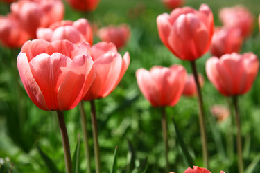 Similar image 669311