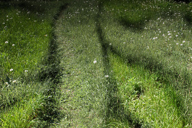 Similar image 669329