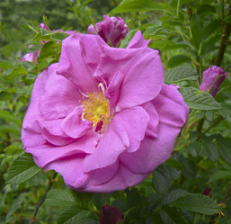 Similar image 669346