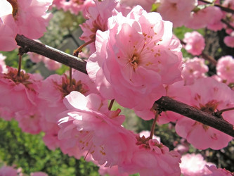 Similar image 669350