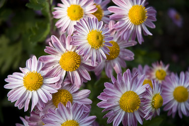 Similar image 669351