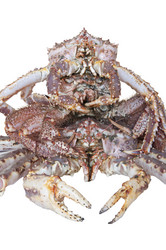 Similar image 669352