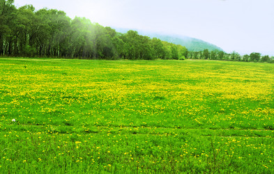 Similar image 669353