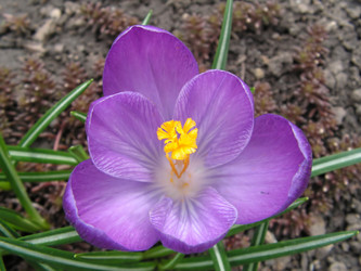 Similar image 669357