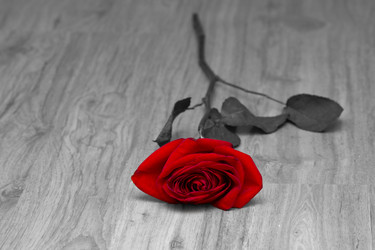 Similar image 669368