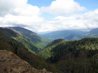 Similar image 669396