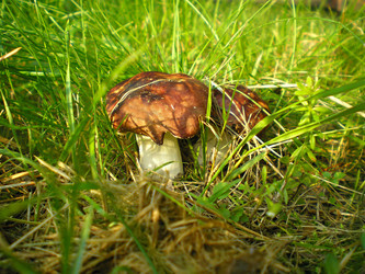 Similar image 669436