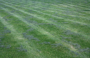 Similar image 669438