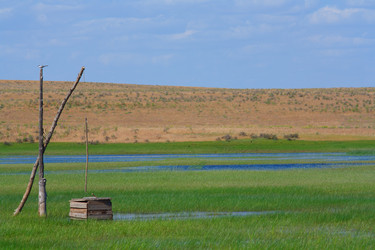 Similar image 669476