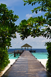 Similar image 669525