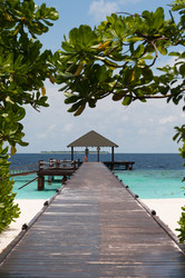 Similar image 669539