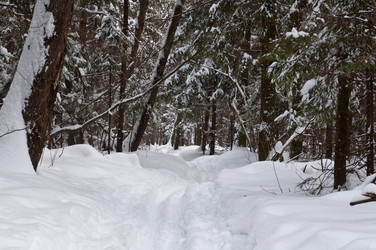 Similar image 669544