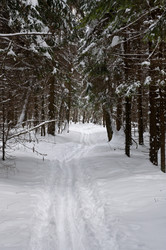 Similar image 669545