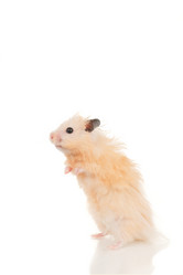 Similar image 669556