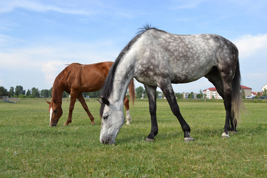 Similar image 669564