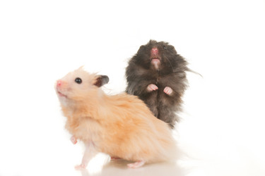 Similar image 669568