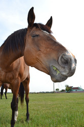 Similar image 669571