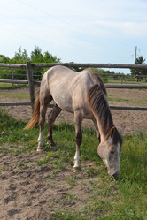 Similar image 669577