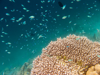 Similar image 669588