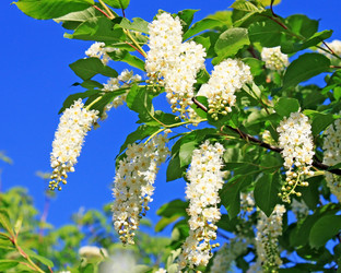 Similar image 669599