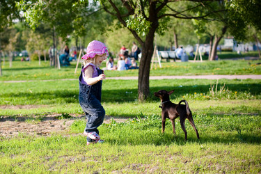 Similar image 669608