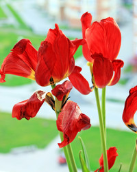 Similar image 669616