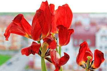 Similar image 669619