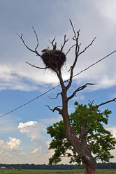 Similar image 669631