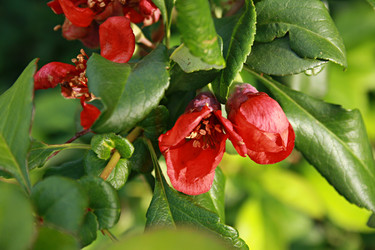 Similar image 669652