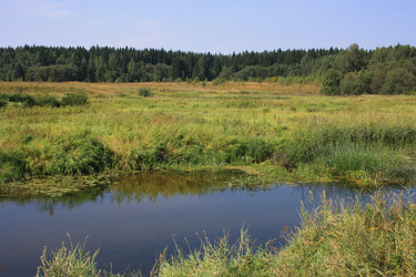 Similar image 669658