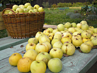 Similar image 669659