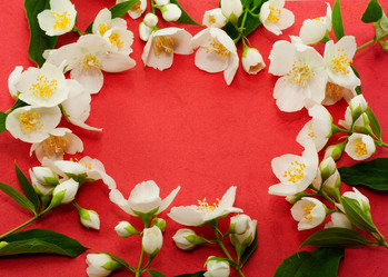 Similar image 669661