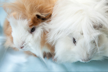 Similar image 669692